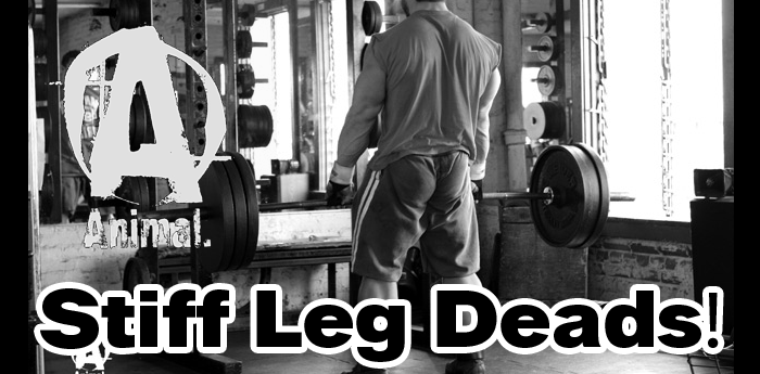 Stiff Leg Deads